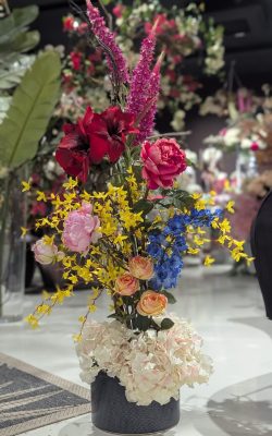 PXL_20250626_143019975.PORTRAIT